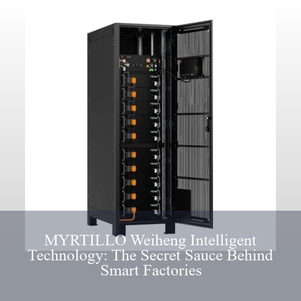 MYRTILLO Weiheng Intelligent Technology: The Secret Sauce Behind Smart Factories